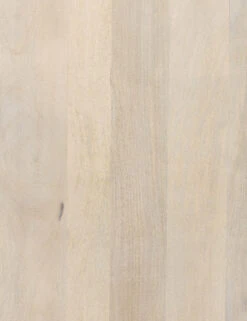 Ian Desk -Lulu And Georgia Shop 101359 003 DET 2 1