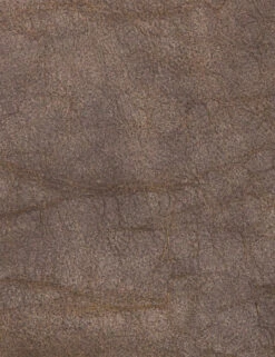 Trysta Bar And Counter Stool -Lulu And Georgia Shop 105861 021 DET 2