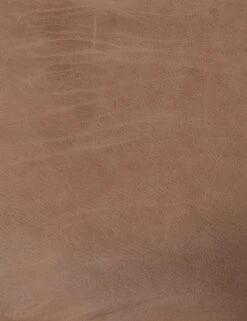 Sela Leather Accent Chair -Lulu And Georgia Shop 222702 012 det 2