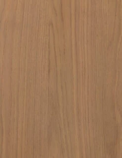 Juniper Desk 17 Juniper Desk -Lulu And Georgia Shop 224322 002 DET 2