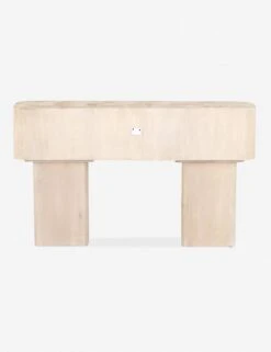 Sunako Console Table 15 Sunako Console Table -Lulu And Georgia Shop 224841 001 bck 1
