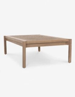 Tonia Indoor / Outdoor Coffee Table -Lulu And Georgia Shop 225077 001 DET 1