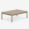 Tonia Indoor / Outdoor Coffee Table