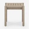 Tonia Indoor / Outdoor Side Table