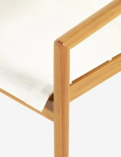 Charise Indoor / Outdoor Accent Chair -Lulu And Georgia Shop 226871 001 DET 1