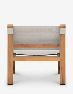 Paulette Indoor / Outdoor Accent Chair -Lulu And Georgia Shop 226883 002 BCK 1