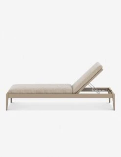 Cadenza Indoor / Outdoor Chaise 15 Cadenza Indoor / Outdoor Chaise -Lulu And Georgia Shop 226912 006 SID 1
