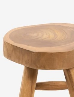 Oberon Indoor / Outdoor Stool -Lulu And Georgia Shop 227704 001 DET 1 SITECROP