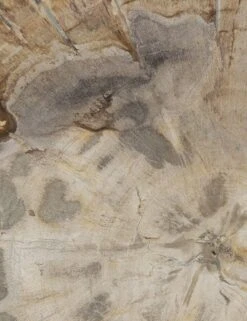 Casella Round Side Table -Lulu And Georgia Shop 227722 002 DET 2