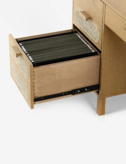 Verna Executive Desk -Lulu And Georgia Shop 227748 001 DET 3