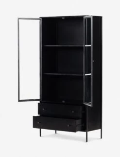 Mathus Curio Cabinet -Lulu And Georgia Shop 229265 001 OPN 1