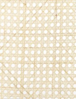 Barron Dining Chair -Lulu And Georgia Shop 229571 001 DET 2