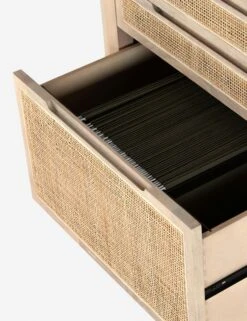 Margot Modular Desk With Filing Cabinet -Lulu And Georgia Shop 230207 001 det 1