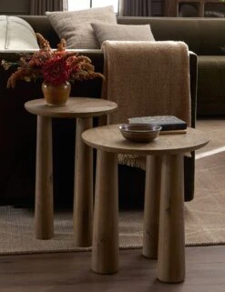 Venturi Nesting Side Tables (Set Of 2)