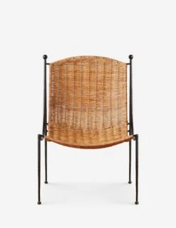 Bonnet Indoor / Outdoor Accent Chair