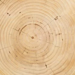 Solaro Side Table -Lulu And Georgia Shop cbsh 024 det 2